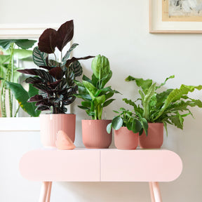 Bloempot Elho vibes fold rose