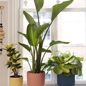 Bloempot Elho vibes fold diepblauw