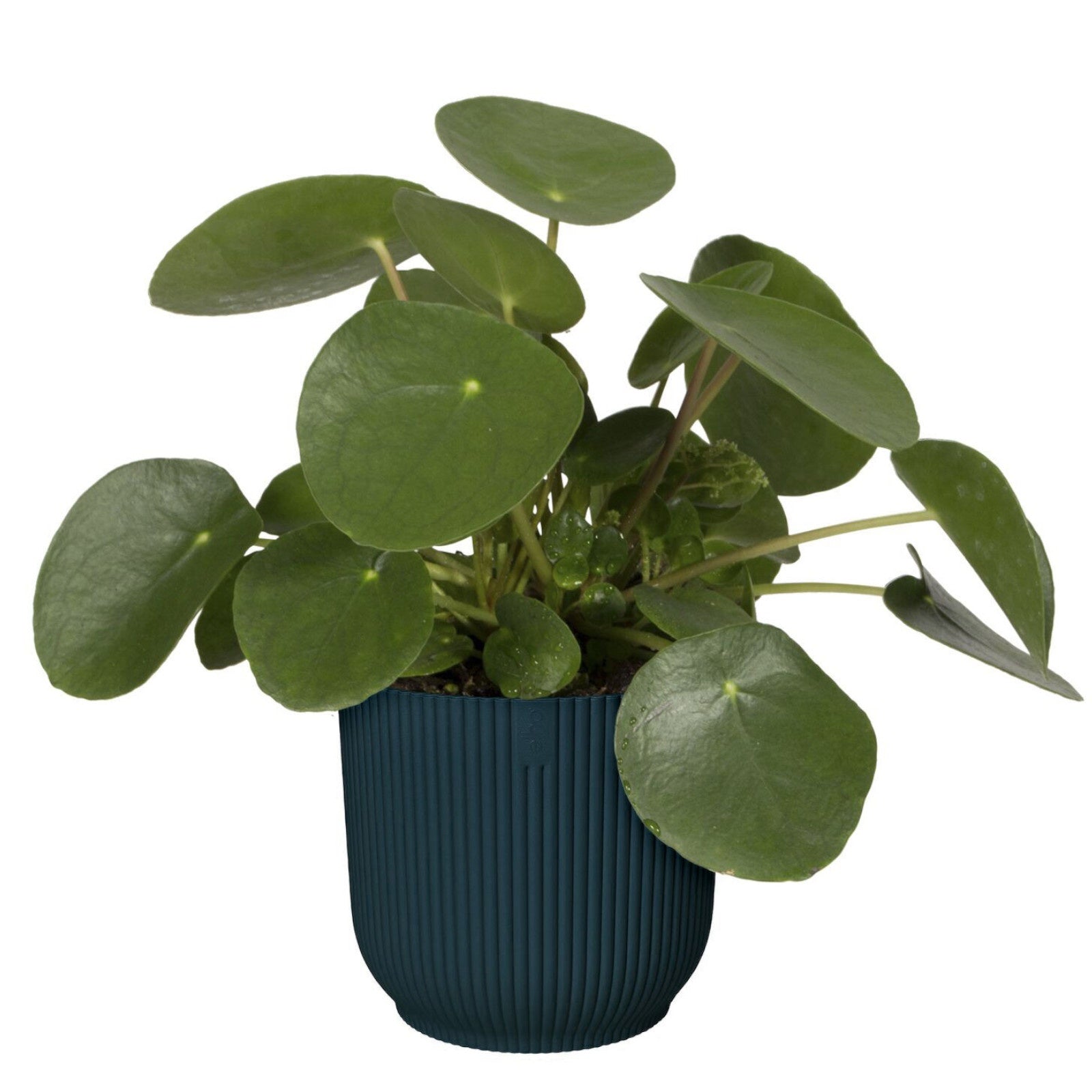 Bloempot Elho vibes fold diepblauw