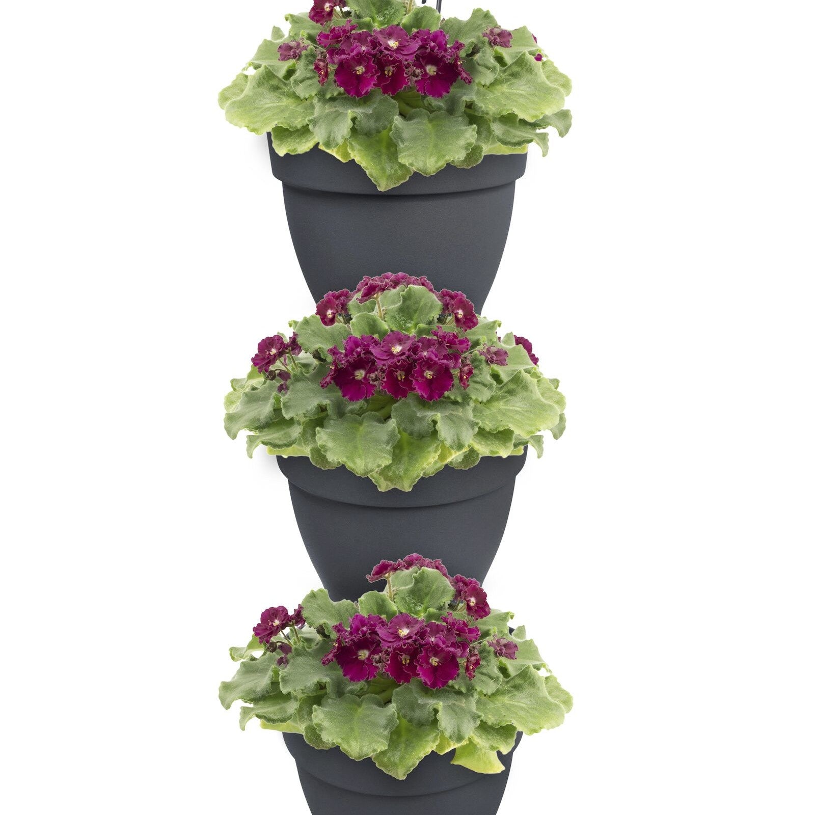 Bloempot Elho vibia campana vertical forest antraciet (x3)