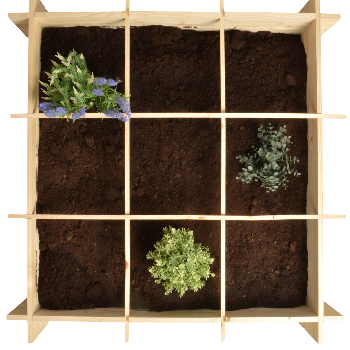 Vierkante moestuin in FSC dennenhout