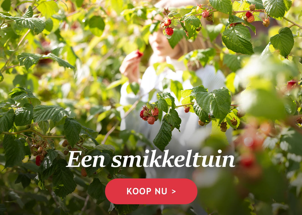Alles voor een smikkeltuin!