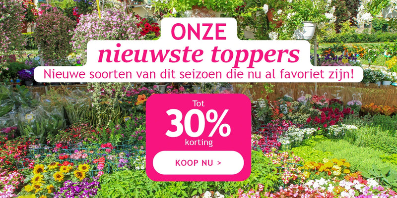 Onze nieuwste toppers tot 30% korting!