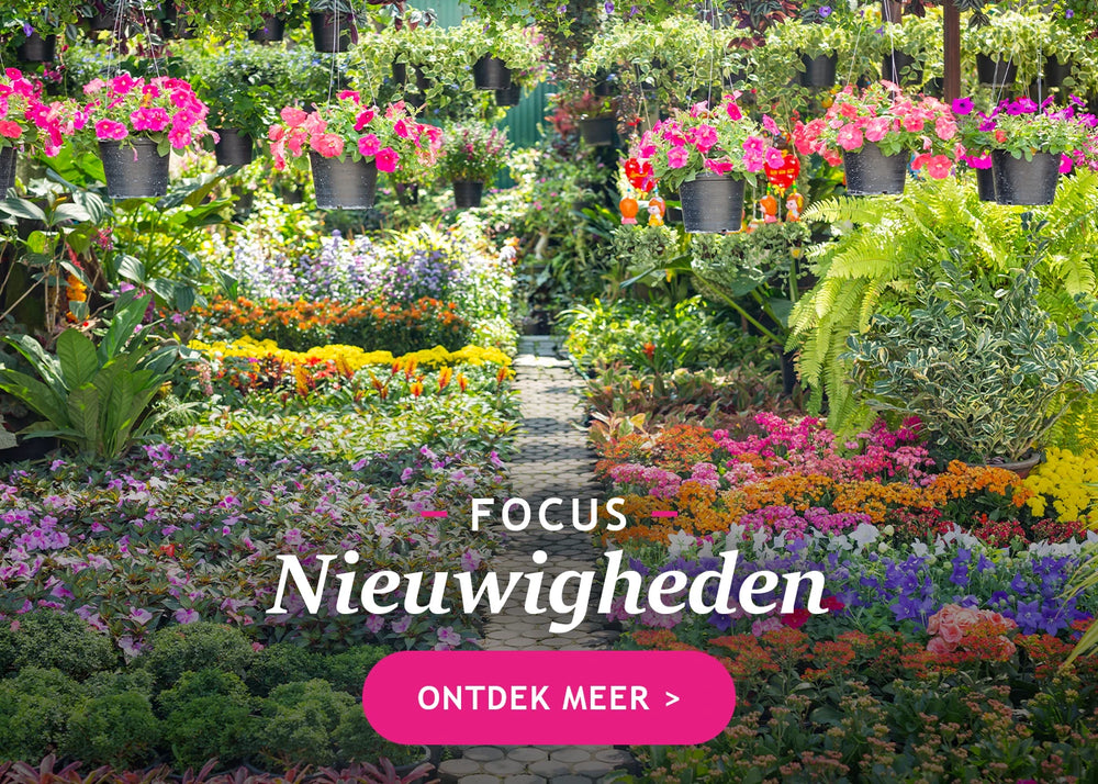 Nieuwigheden