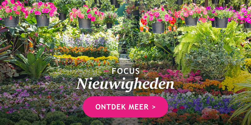 Nieuwigheden