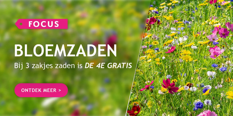 Bloemzaden: koop er 3 en de 4de is gratis!
