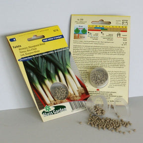 Winterprei Blauw Farinto - Allium porrum bleu d'hiver farinto - Willemse