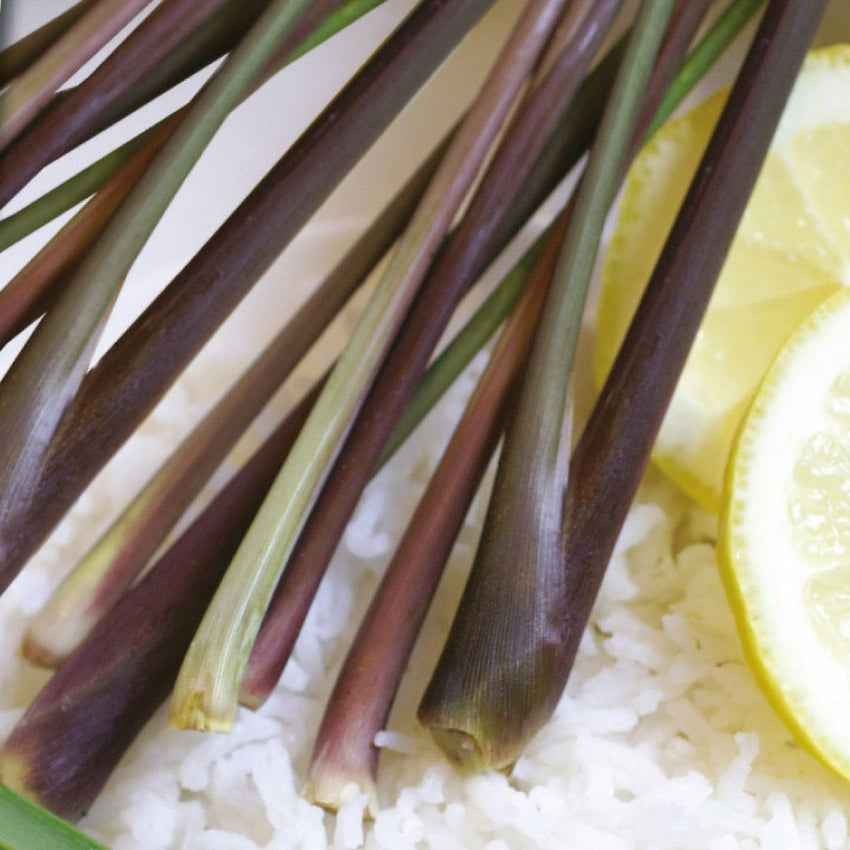 Kruidenzaden - Citroengras - Cymbopogon flexuosus