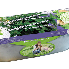 Zinken teil Munt - Willemse