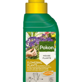Pokon Flowering Plant Food - Willemse
