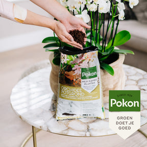 Pokon orchidee potgrond - Willemse