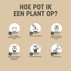 Pokon moestuin potgrond - BIO