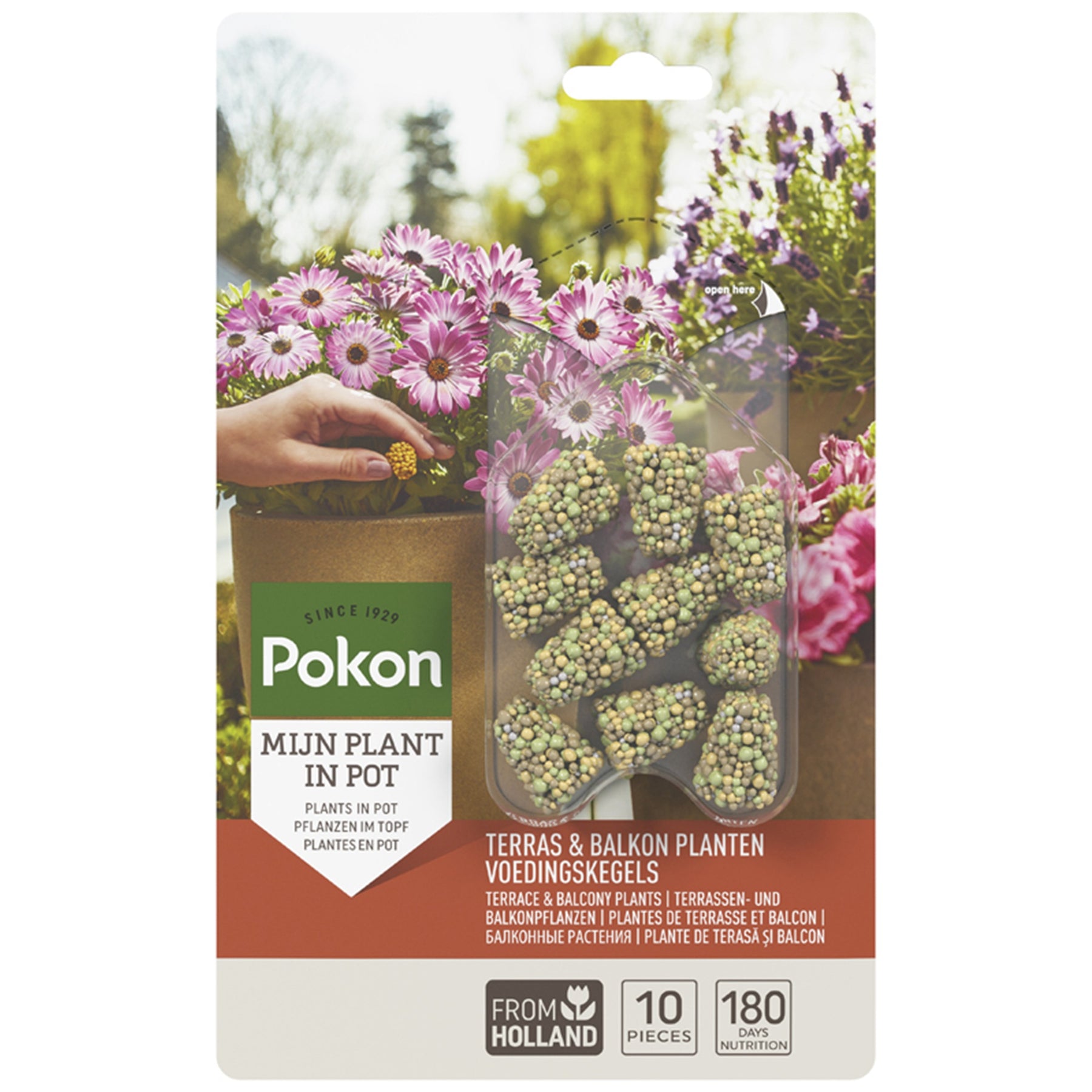 Pokon voedingskegels terras & balkonplanten