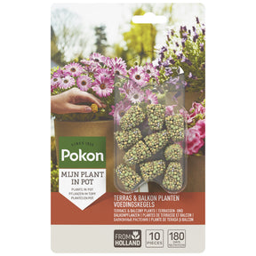 Pokon voedingskegels terras & balkonplanten