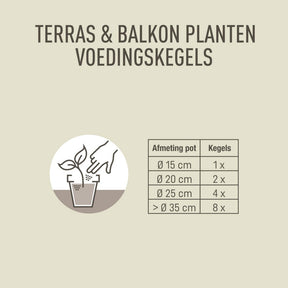 Pokon voedingskegels terras & balkonplanten
