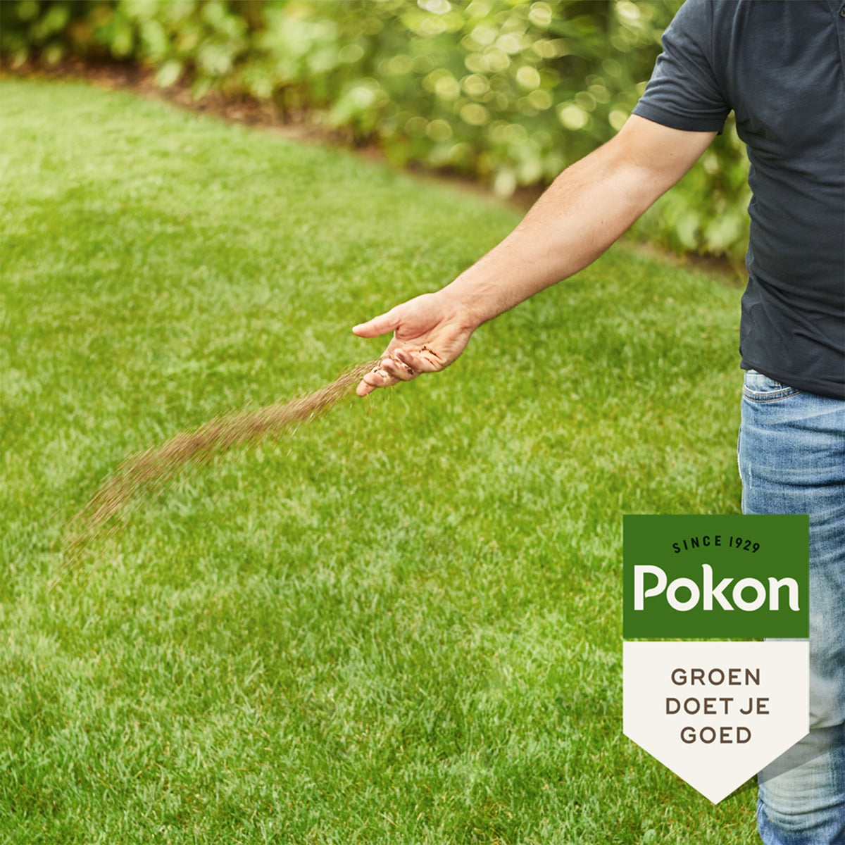 Pokon gazonmest - BIO