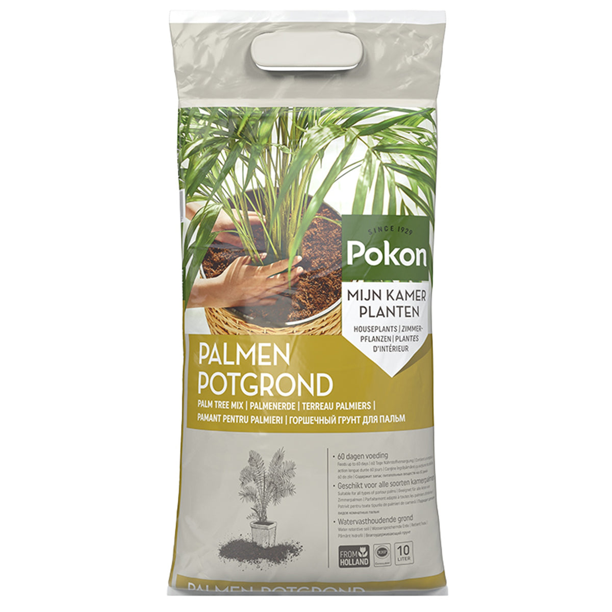 Pokon palmen potgrond