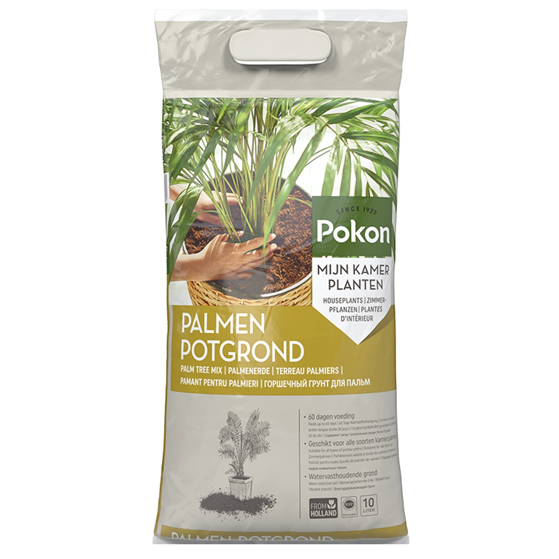 Pokon palmen potgrond