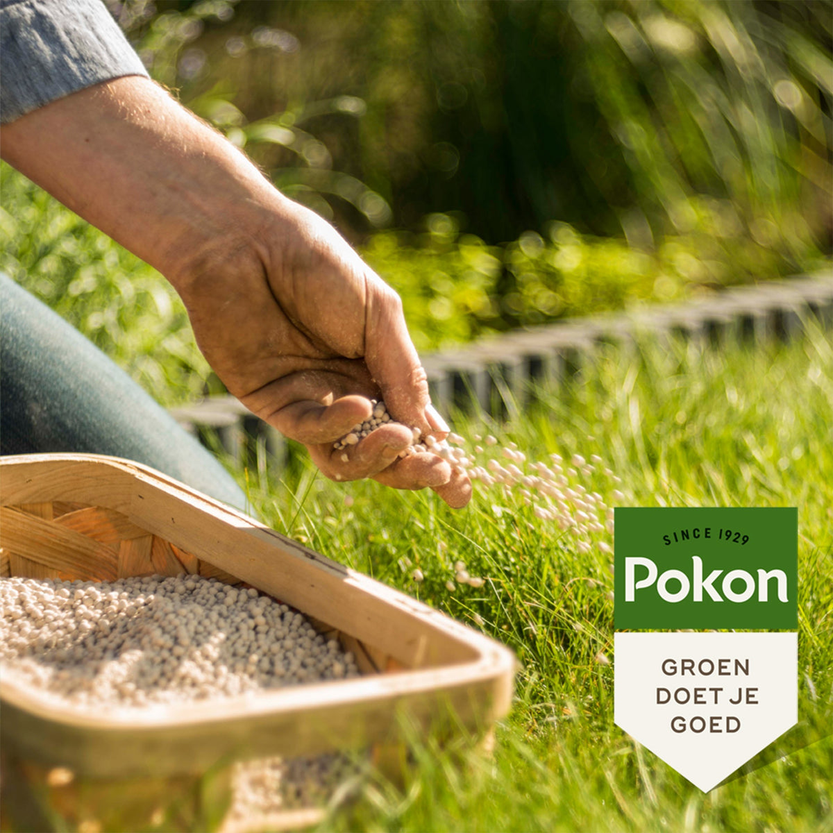 Pokon kalk - BIO