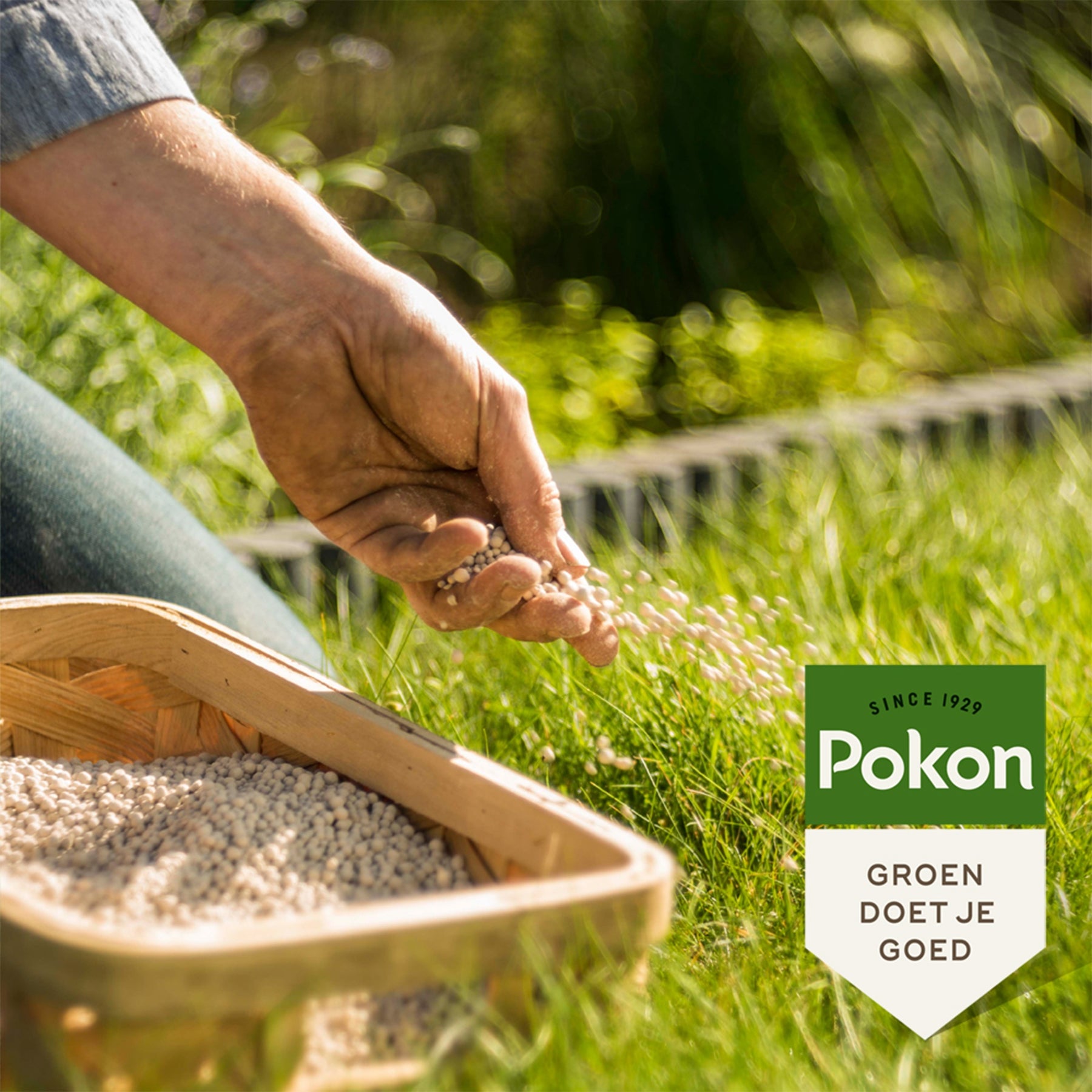 Pokon kalk - BIO