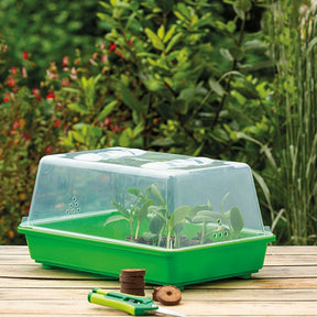 Kit mini kamerserre + Cocopelletes x 100 - Willemse