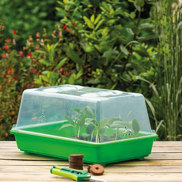 Kit mini kamerserre + Cocopelletes x 100 - Willemse