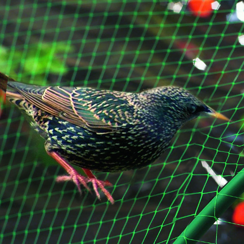 Vogelbeschermingsnet