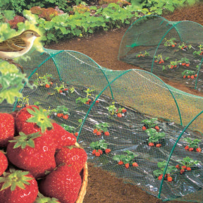 Vogelbeschermingsnet